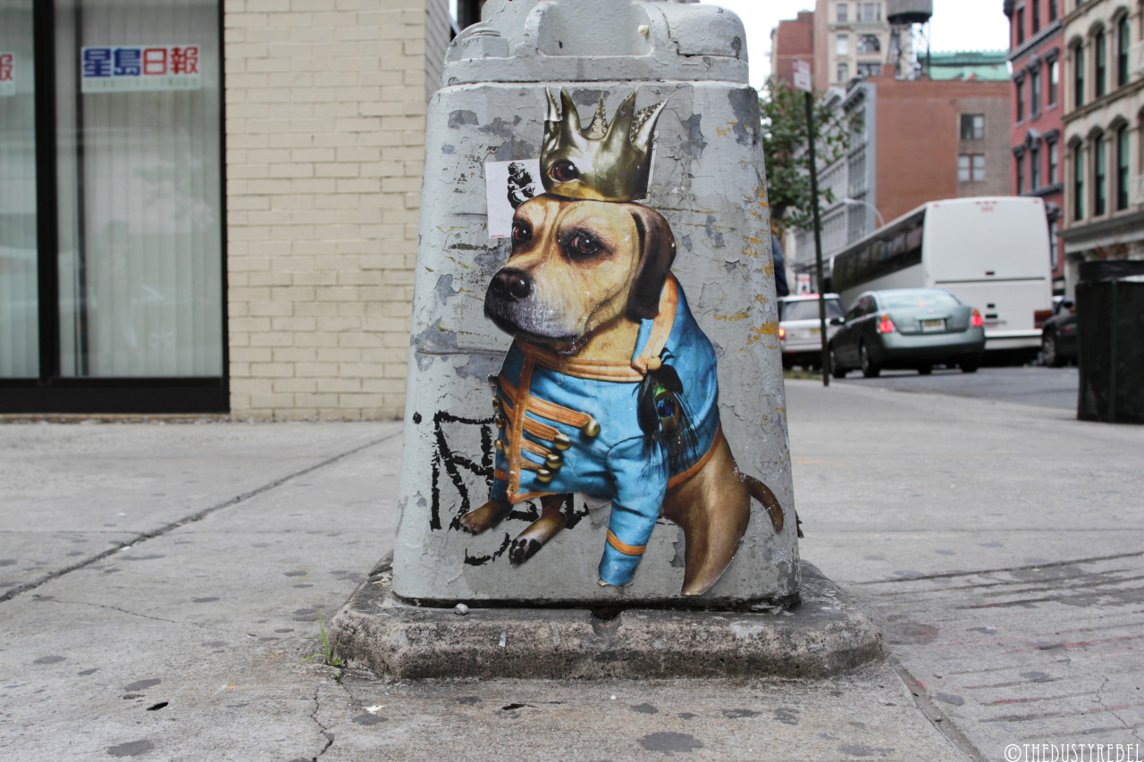 King GordoSoho, NYC
More photos: Jim McKenzie, Street Art