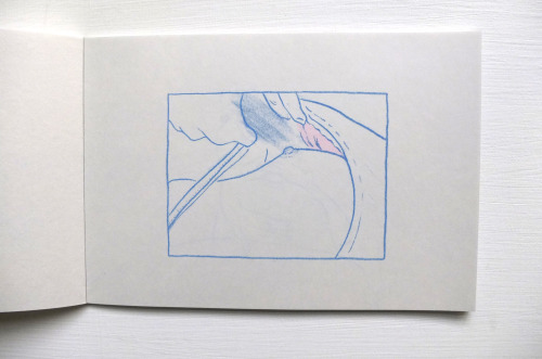 nosbooks: 《粉紅佛洛依德》是智海的情色速寫素描本，收錄他一系列一邊看成人A片一邊畫下的「人體寫生」。本書捕捉作者情慾高漲的瞬間，慾望與審美的眼光互相拉扯，金睛火眼，誠實地記錄紙上。 