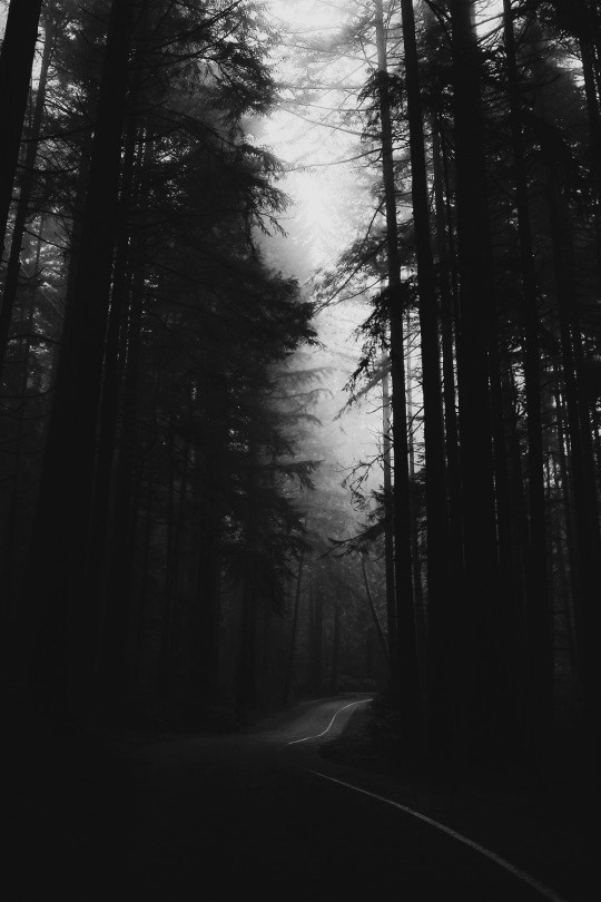 Nothing Lasts Forever