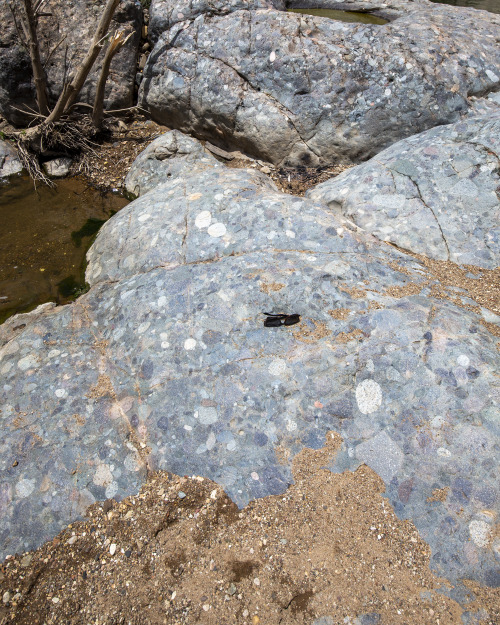 2022: The Rocky Creek Glaciation Area, Bingara. Nice examples of tillites from the Carboniferous. A 