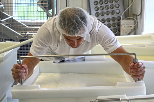 Sterling College: Fundamentals of Artisan Cheesemaking, May 15-24In addition to being a full time ch