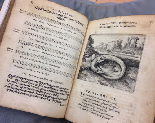 stratharchives:Week 14  – ‘Hic est Draco caudam suam devorans.’ (Here is the dragon that devours his