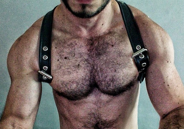 scruffy JIZZ monkey!