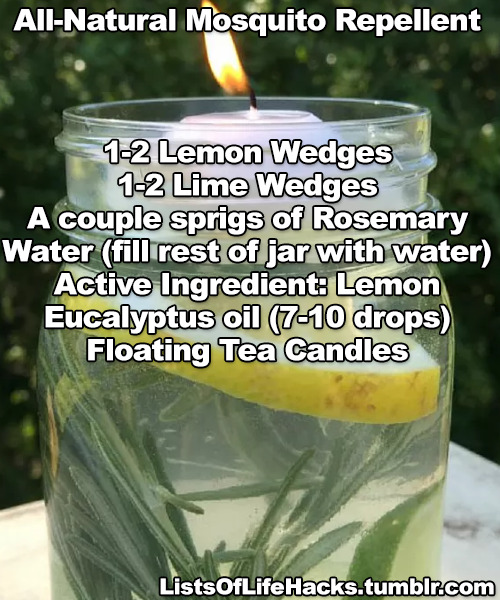 listsoflifehacks:Useful Life Hacks To Get Rid Of Pests