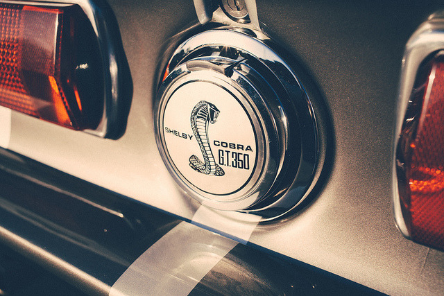 ford-mustang-generation:  Snake Bit by AndreasGarcia on Flickr.
