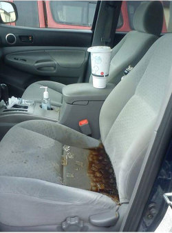 musichastherighttoparty:  genuinely what would you even do in this situation. would you just give up on your car? like leave the keys in the ignition and walk away? i feel like any potential way you could clean this up would just make it an even more