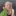 wreckless-g: It’s strange how a website full of teenagers understand how to treat