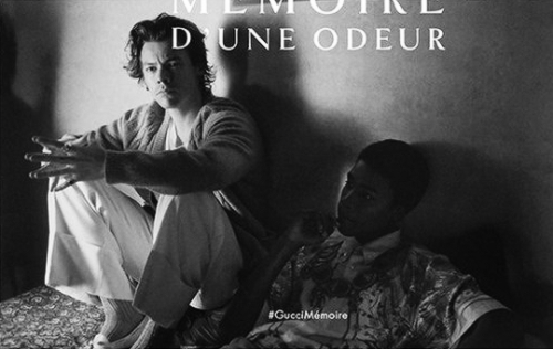 Harry For The Gucci Mmoire D'une Odeur Campaign