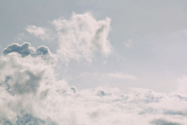 hazyy:  Cotton by Loefoll on Flickr.