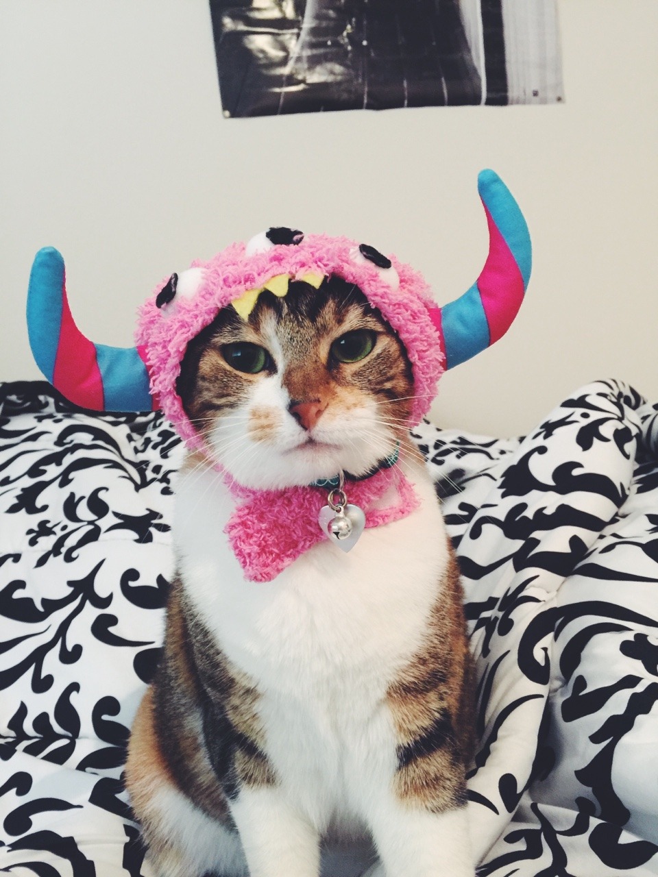 rightandreal:  The monsters turned out to be just…my cat 😸