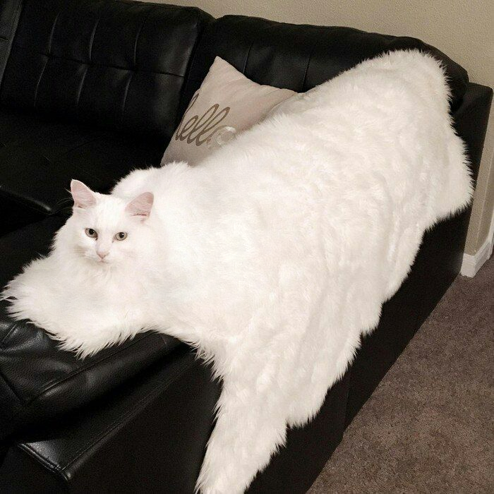 picsthatmakeyougohmm: hmmm