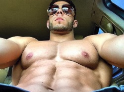 Muscle hunks in cars