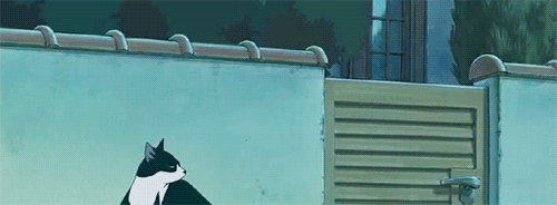 the-absolute-best-posts:  The Cat King’s CatGuard 