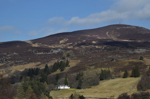 Mount BlairThe border between Perthshire and Angus runs right through this mountain, which effective