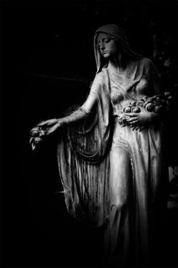 moonlight-mem0ries:  A Rose For The Dead II by: doomed-forever