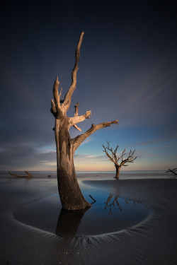 wowtastic-nature:  💙 resilience by charlie hugo on 500px○  Canon EOS 5D Mark III-f/16-90s-16mm-iso100, 683✱1024px-rating:98.6☀  Photographer: charlie hugo