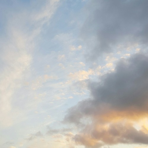 plumcot:the sky looked like a painting the other day