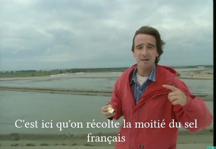 dic — c'est ici qu'on récolte la moitié du sel français...