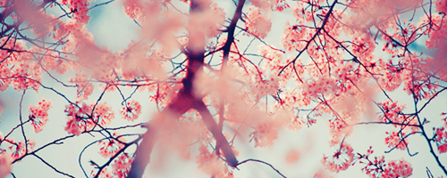 Aparna's mind