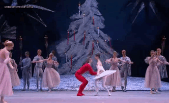 passionatedancing:   Nutcracker in a Nutshell [[click the gifs for captions]]  Bolshoi’s