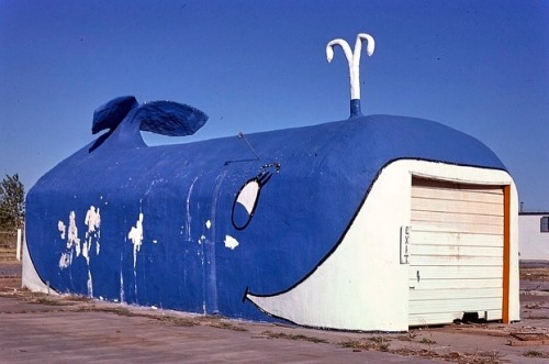 John Margolies photographed the eccentric roadside architecture and ephemera of America.