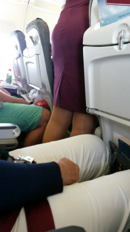 Hot flight attendant, stewardess