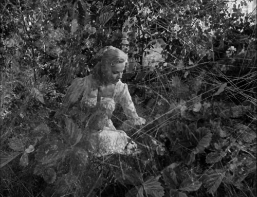 ozu-teapot:  Smultronstället (Wild Strawberries) | Ingmar Bergman | 1957 Victor Sjöström, Bibi Ander