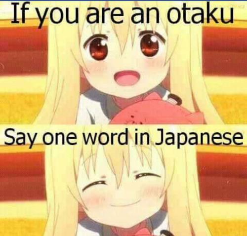 Forever Otaku