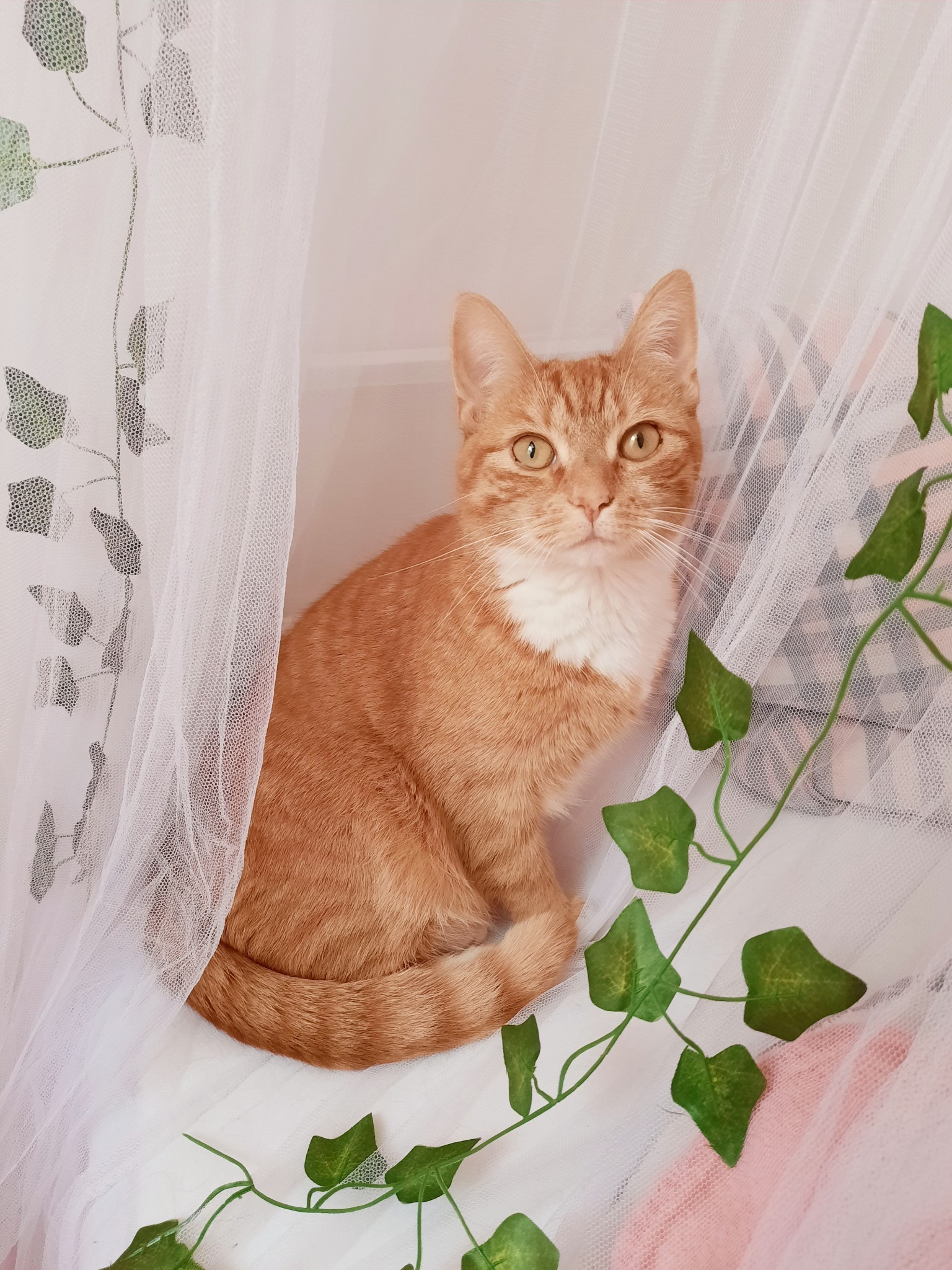 rosypotions:Fairy princess. 🍃🧚‍♀️