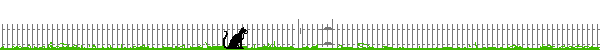 cat at fence
