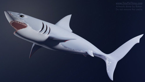 Poly-modeled a shark and my husband helped me rig it :D Shaaaaaaaark!