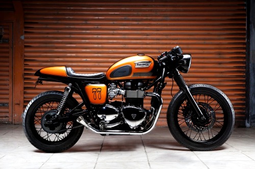 combustible-contraptions:  Triumph | Tango Cafe Racer | Triumph - TMC 