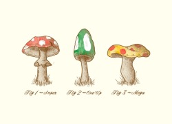  “Mario Mycology” 