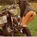 iratetreasure:HONDA