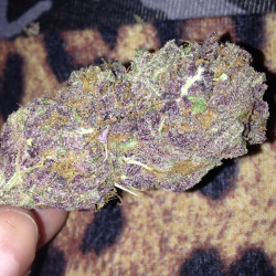 dextroverted:  Purple Diesel💜🚀