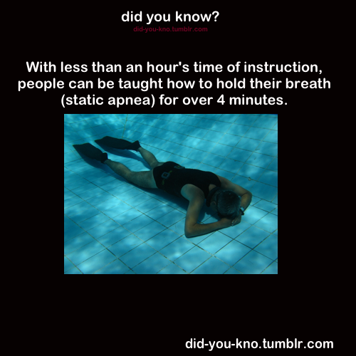 did-you-kno:  Source