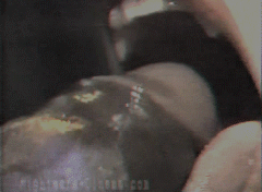 bitejobs:Big black cock getting blown with fangs.
