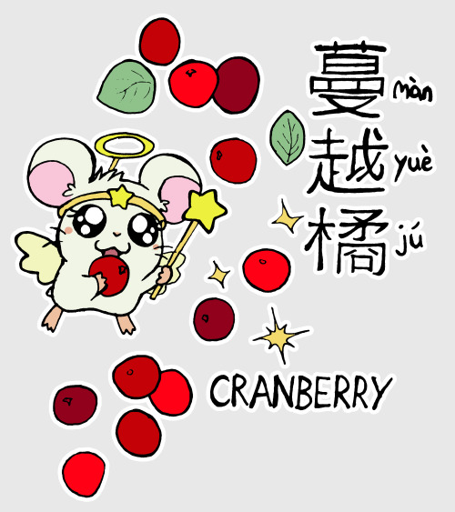 FRUITS AND BERRIES A-Z, PART 23Date: 2021Chinese (pinyin) | English | Norwegian阿萨伊浆果 (Ā sà yī jiāngg