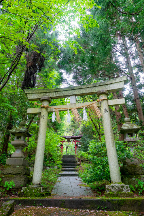 shrinephotos: 妻戸神社（新潟県）2021年5月goo.gl/maps/1rzxc4JriQMzEvGp6