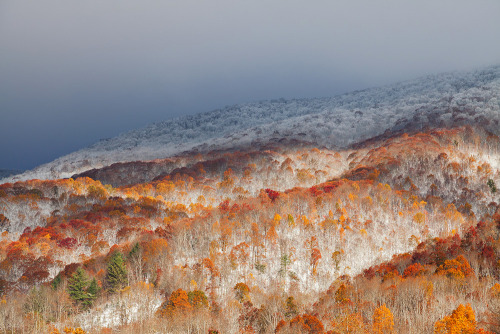 bookofoctober:“Merging Seasons” by Daniel Burleson