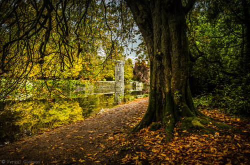 allthingseurope:Wexford, Ireland (by Fergal Gleeson)
