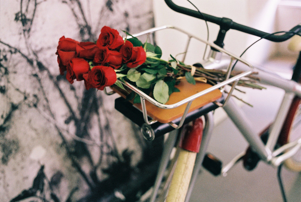 jacindaelena:   // the second bus home //