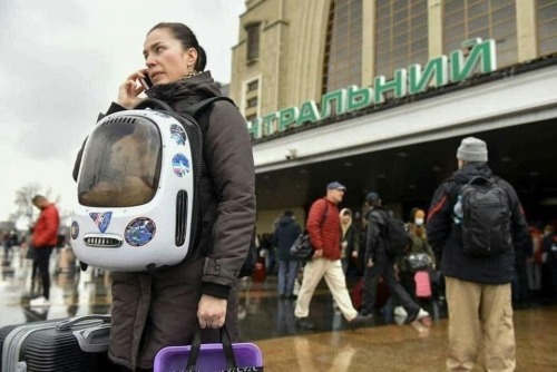 catsbeaversandducks: Ukrainians fleeing with their pets. They don’t leave them behind. I can&r