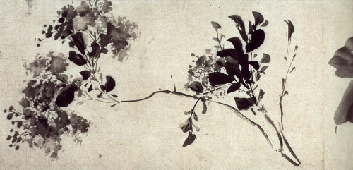 iamjapanese: Xu Wei（徐渭 Chinese, 1521-1593） 墨花圖