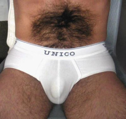 matiou: adorelespoilus:   420bate:   HAIRY BITS   Waouuu  j aimes   Sublimes tous