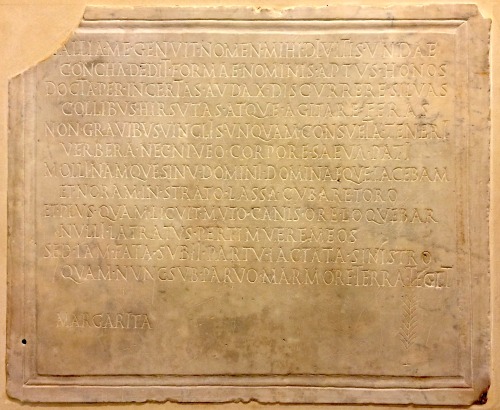 Epitaph on a grave for a beloved family dog, owners and dedicators unknown. 2nd or 3rd century Rome.
