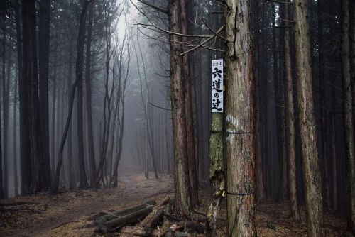 … 年末になると… 悲しいニュースあるな… . #ザ山部 #mountains #mountaineering #trekking #hiking #landscape #landscapephoto