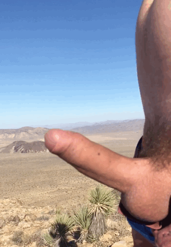 piglandia:  sometimes you just gotta climb up a mountain and shake your dick at the world below.  