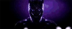 kane52630: Black Panther (2018)