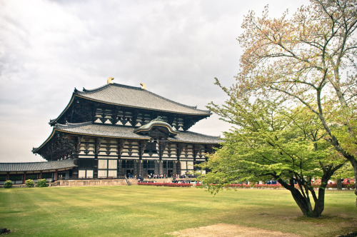 Nara, Japan